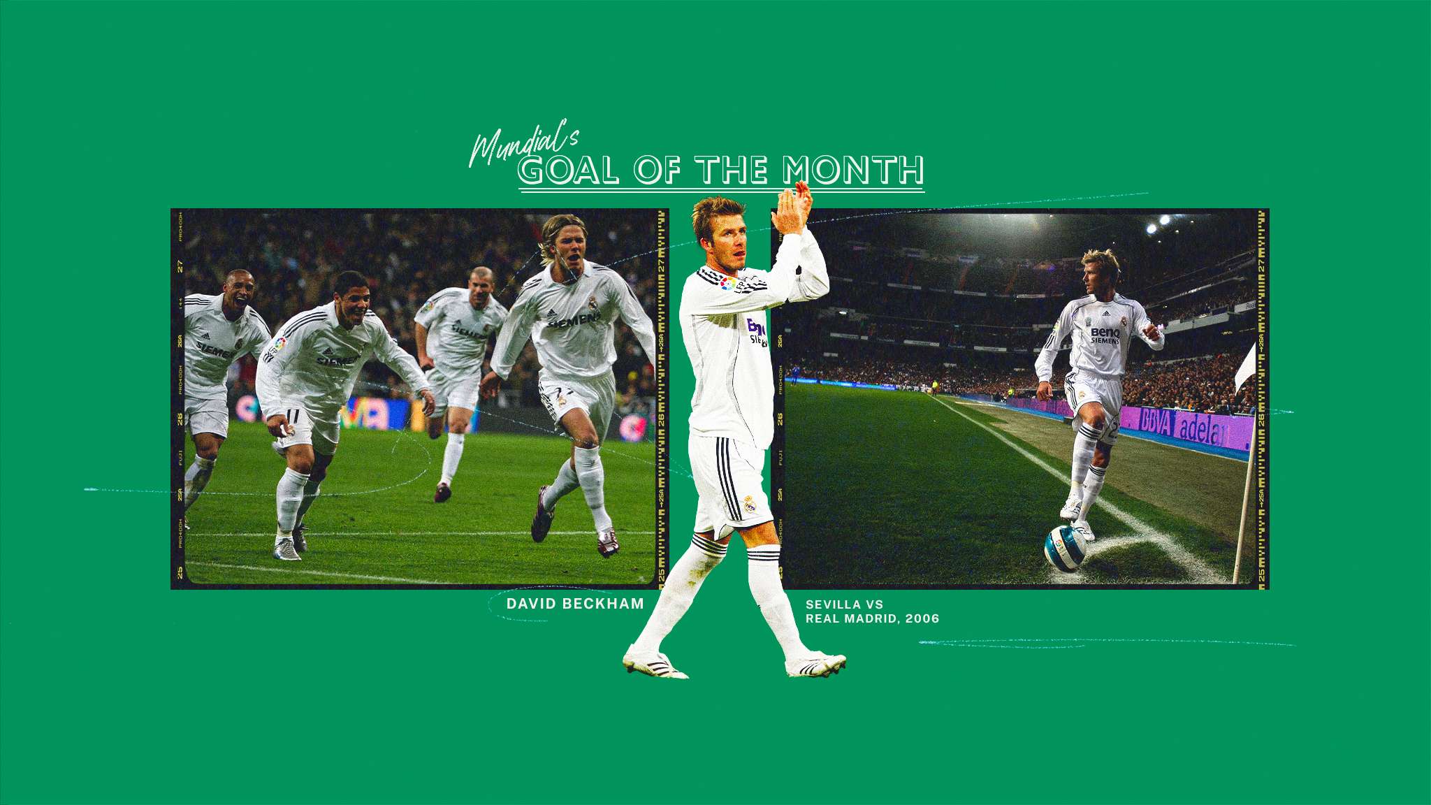 中国之队官 中国之队官