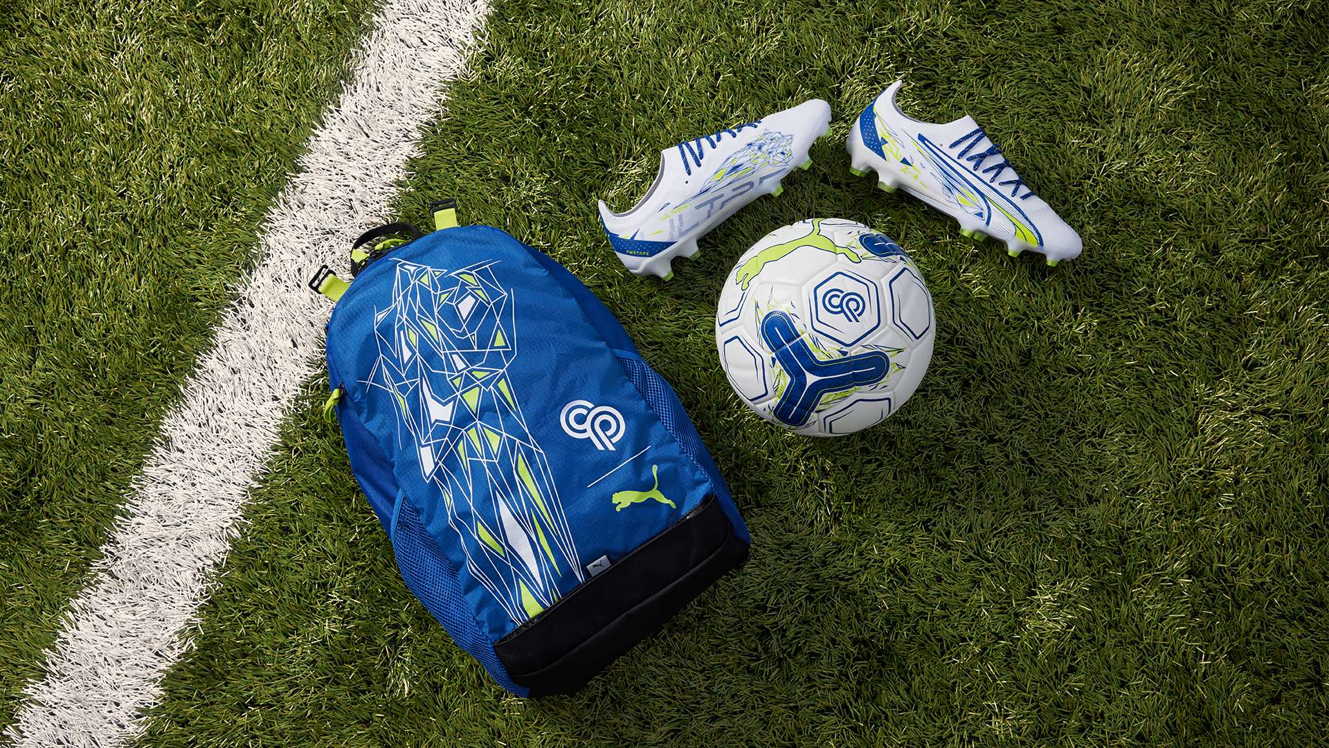 挥成为了武 挥成为了武